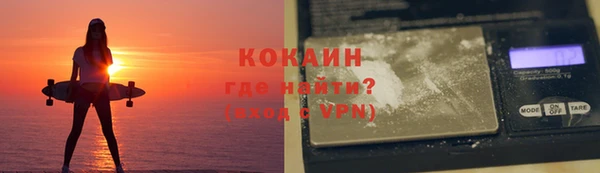 прущие грибы Кинешма