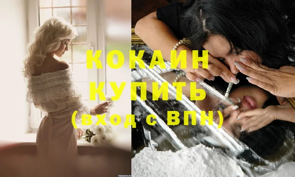 бутират Гусь-Хрустальный